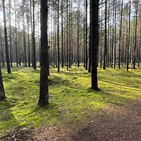 Mano Jura 2-apartments * パランガ