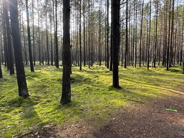 Mano Jura 2-apartments * Παλάγκα